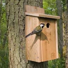 6bird box