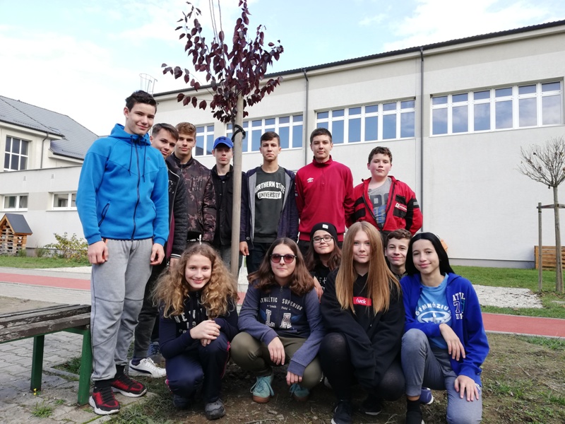 IMG 20191030 110004 kópia