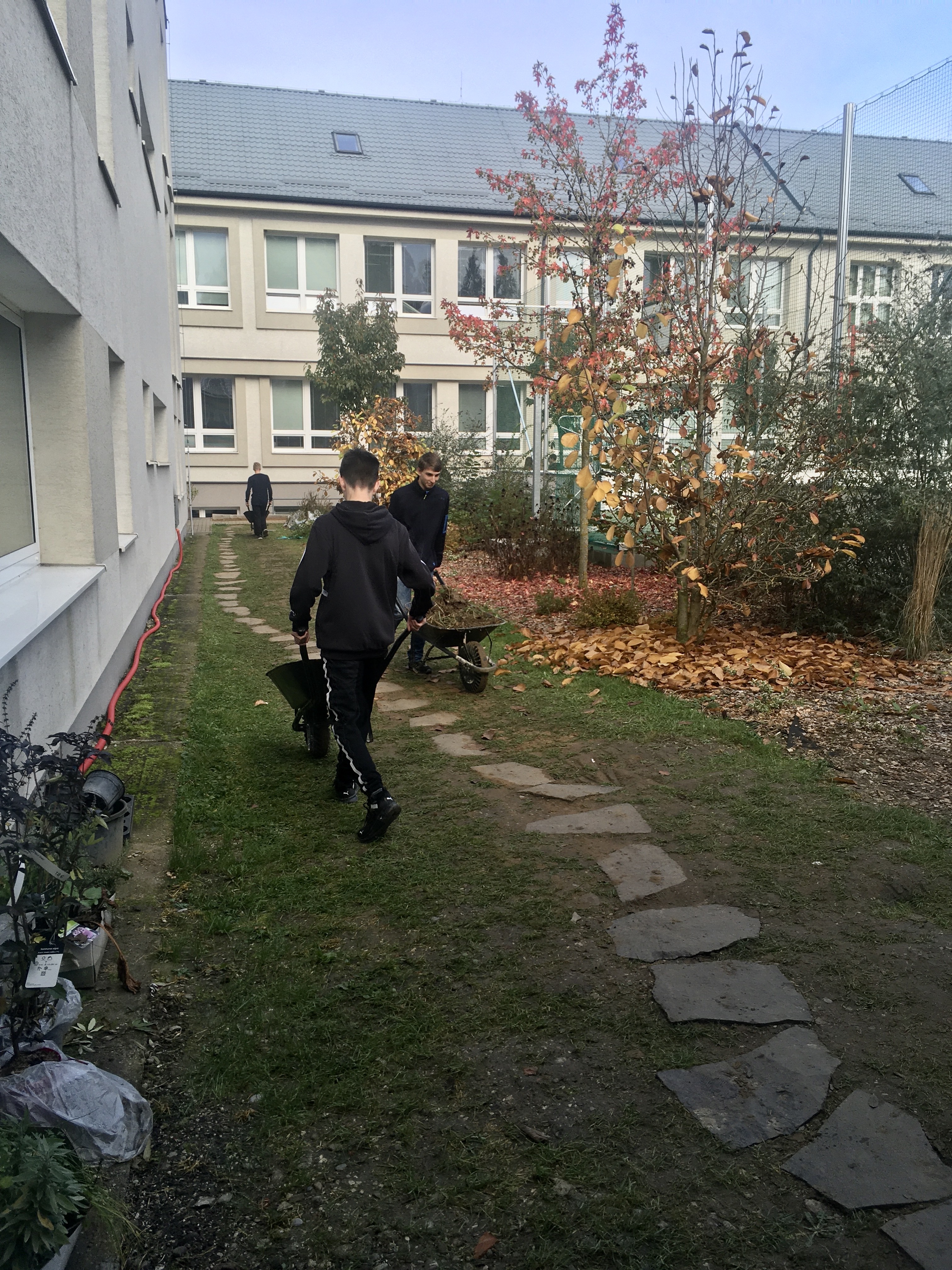 IMG 2684