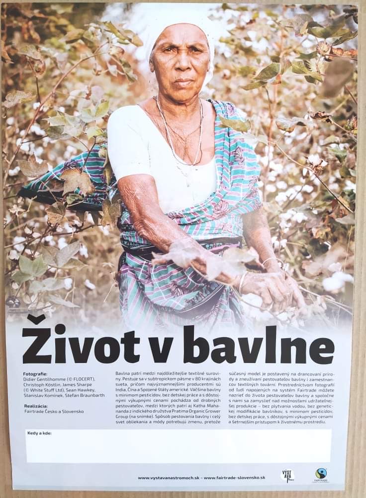 bavlna1