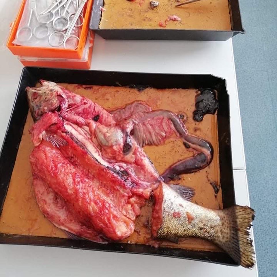 biol2