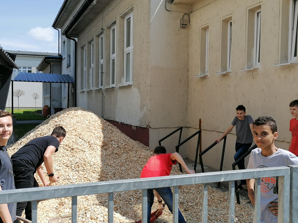 dvor1