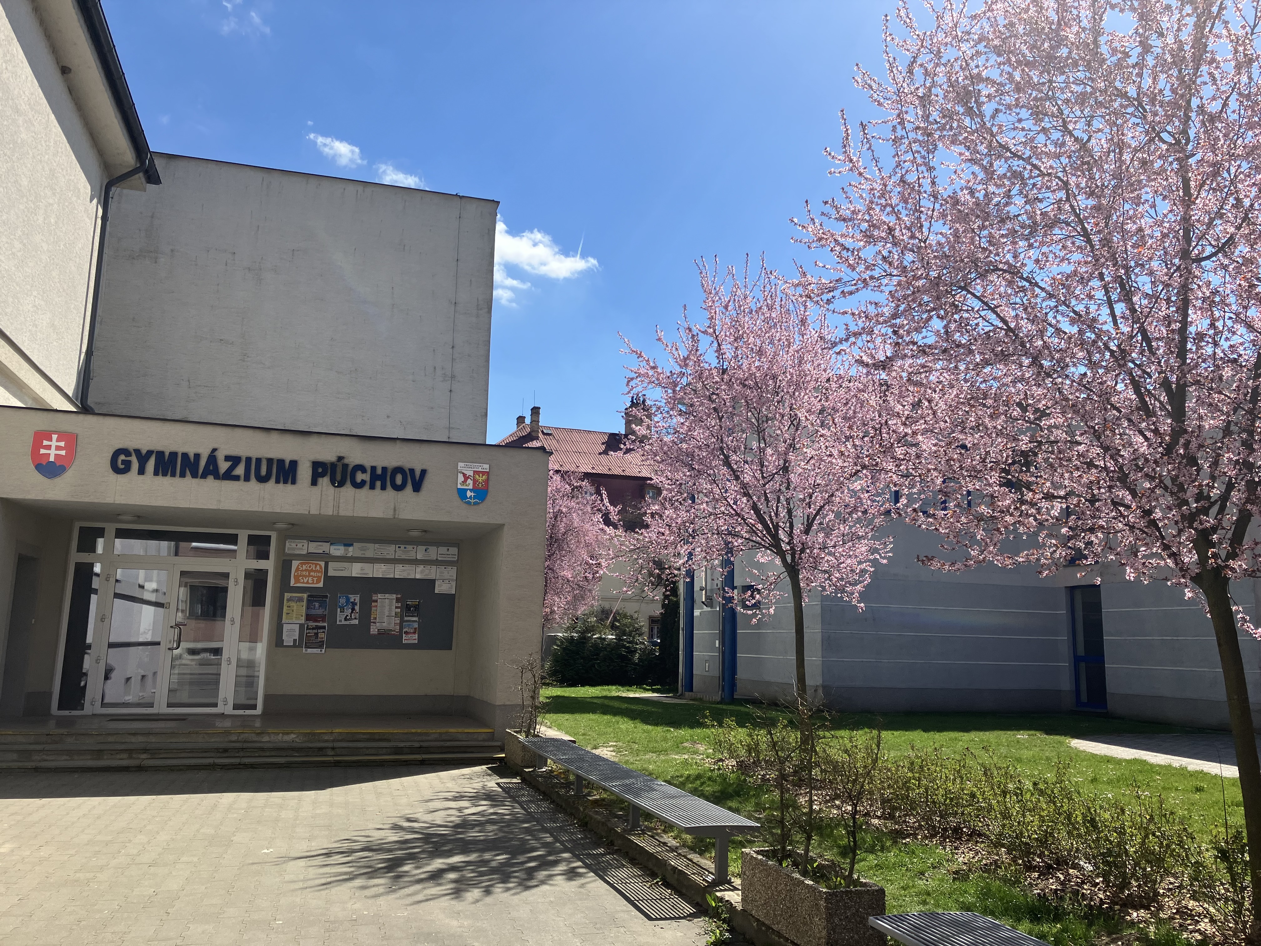 kvitnutie1