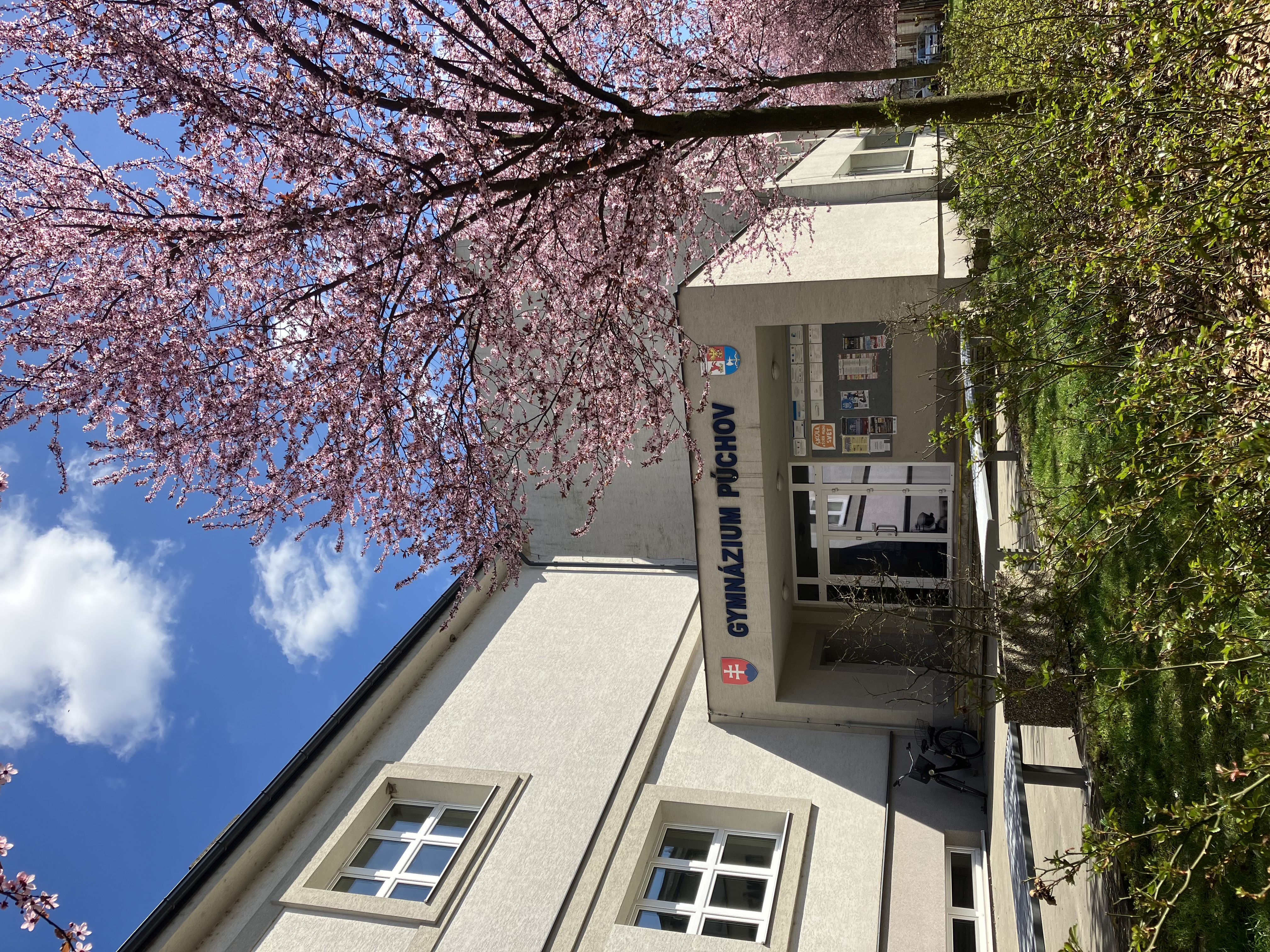 kvitnutie3