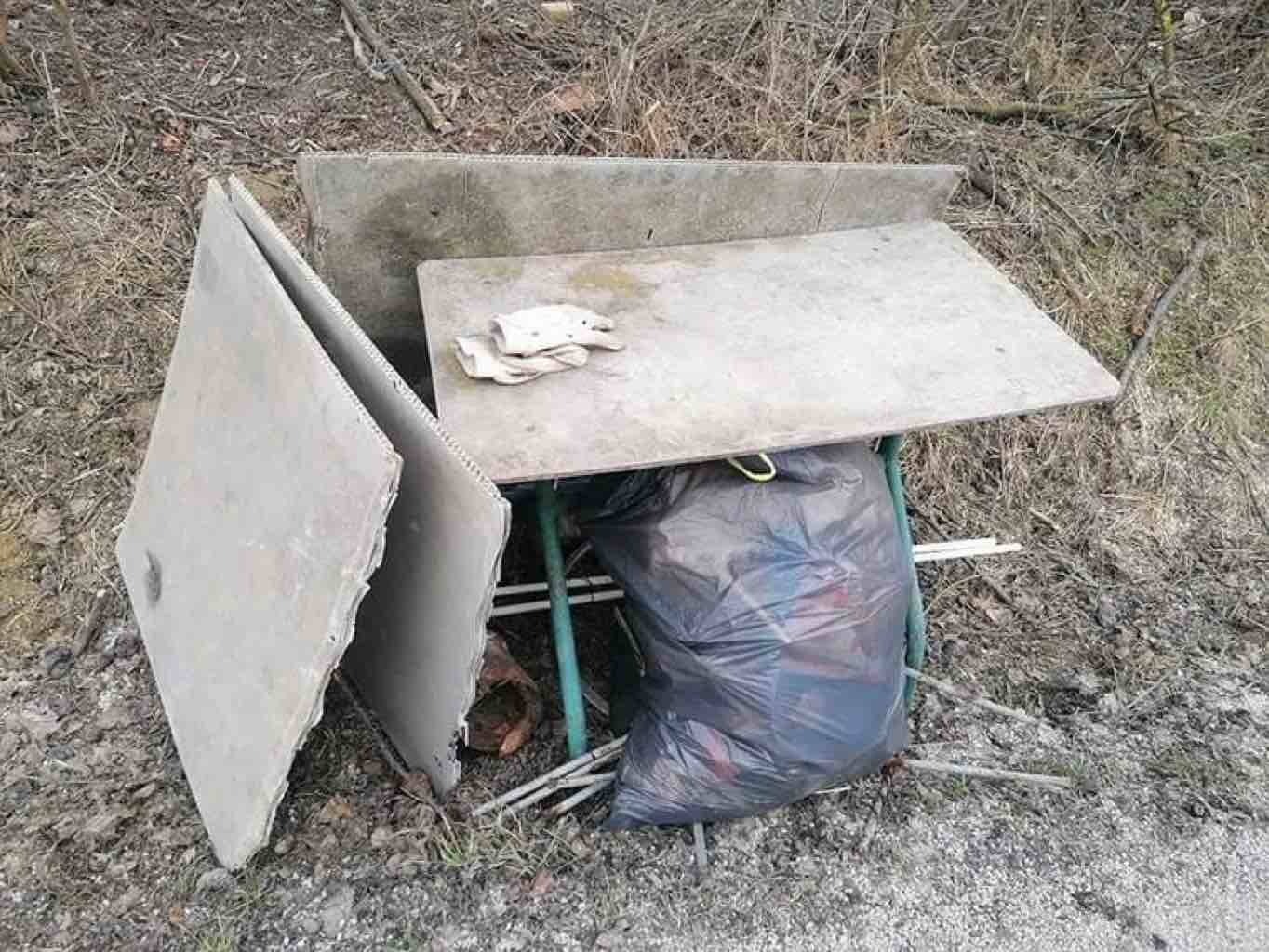 picture1