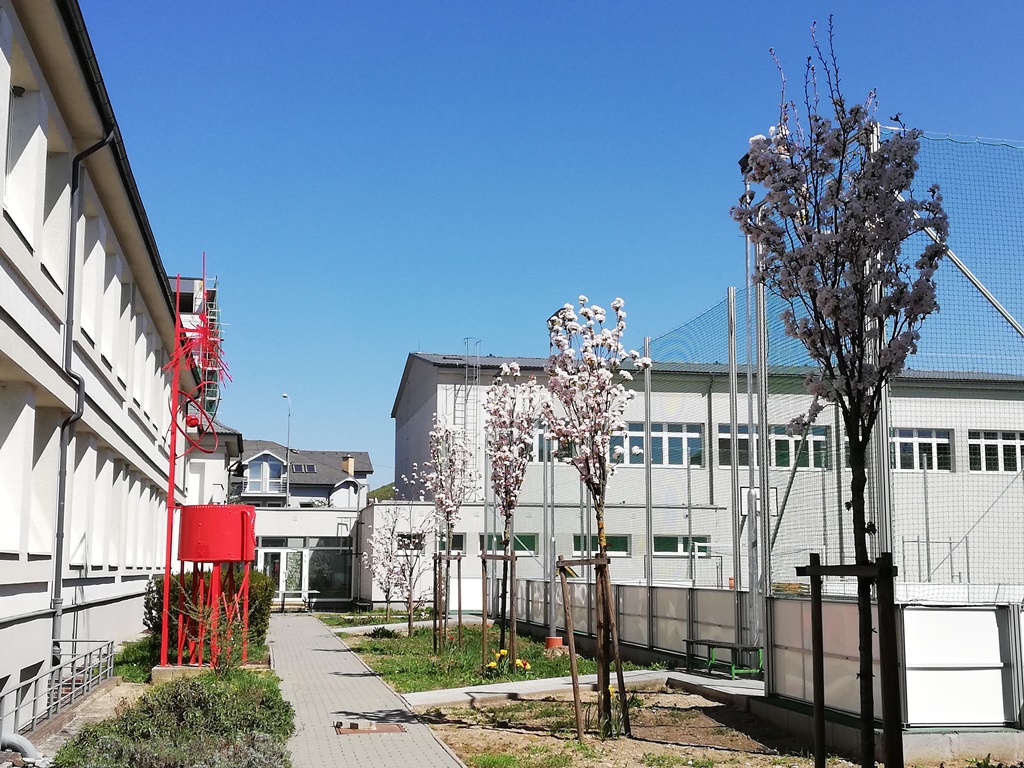 skola1 4