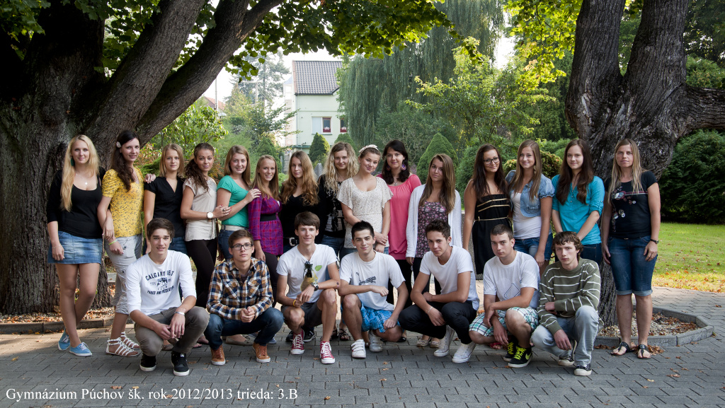 3b.jpg