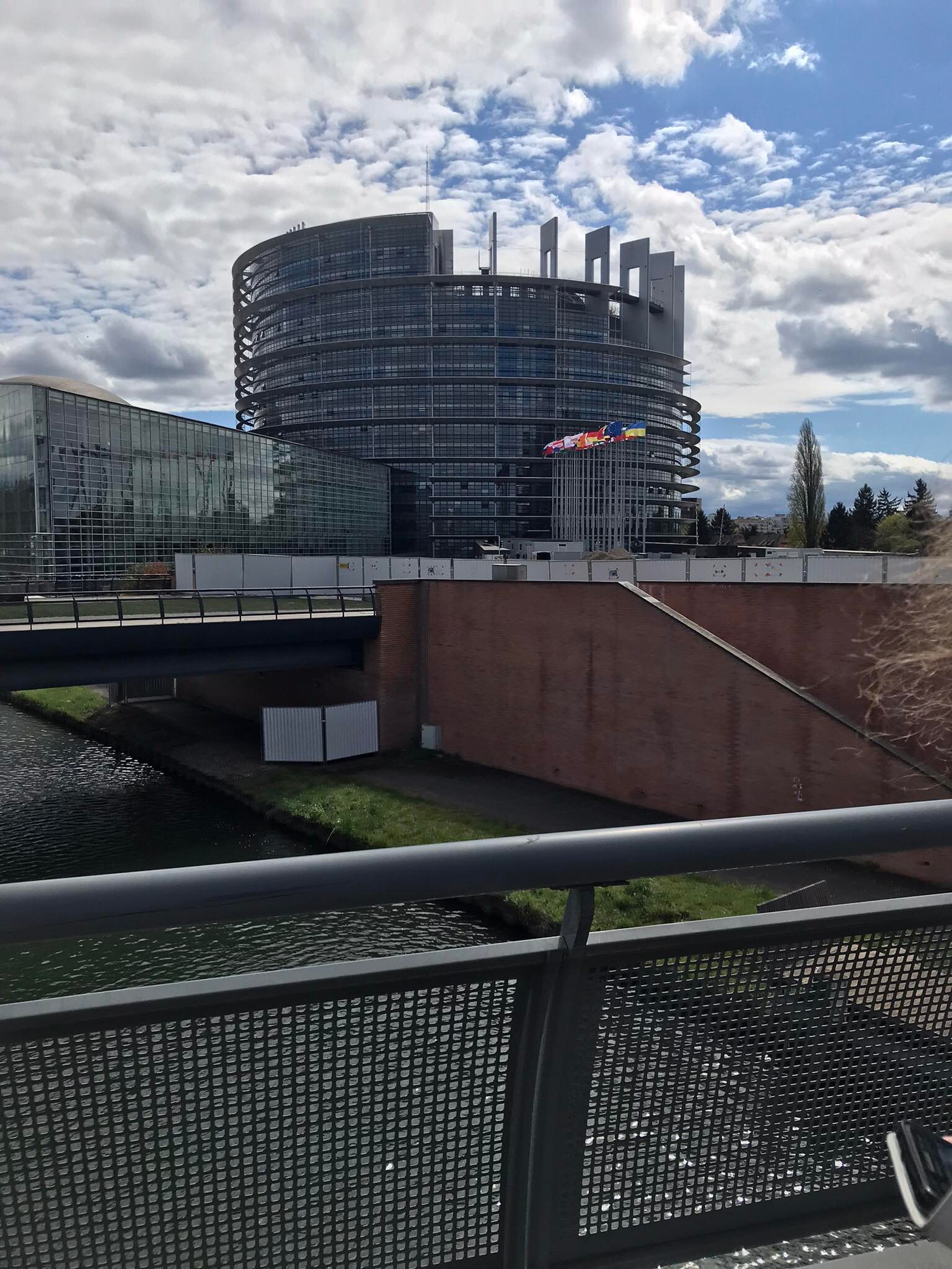 strasburg2