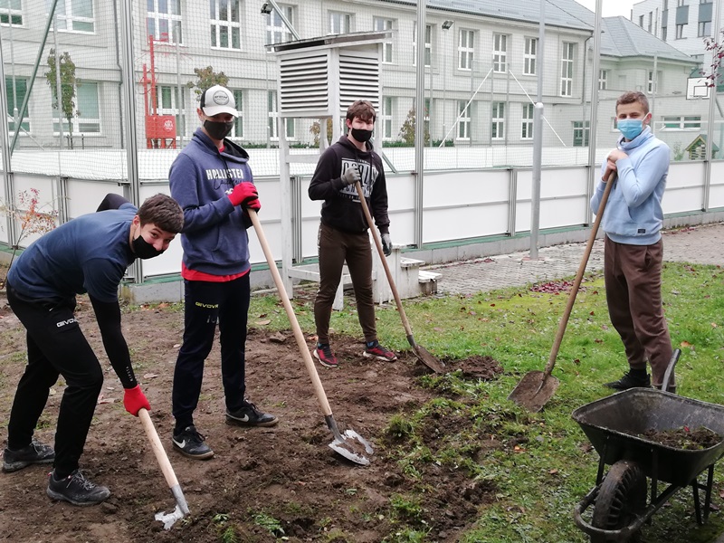 vysadba IIA chlapci kópia